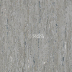 Линолеум Tarkett iq Optima GREY BEIGE 0897 фото 1 | FLOORDEALER